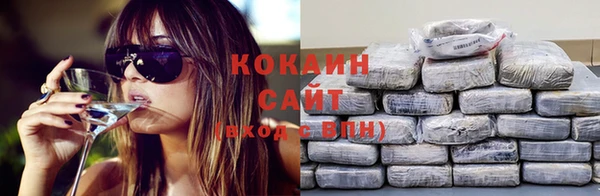 стаф Аркадак
