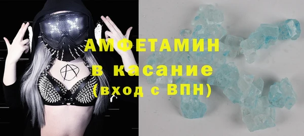 стаф Аркадак