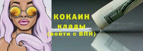 стаф Аркадак