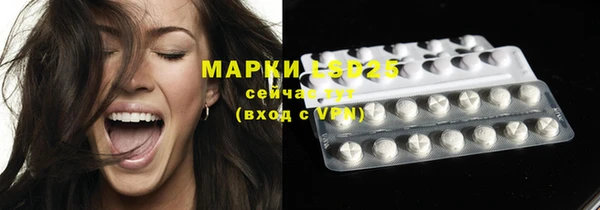 стаф Аркадак