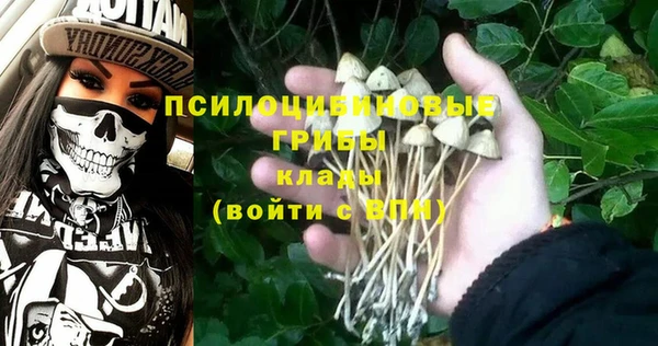 стаф Аркадак