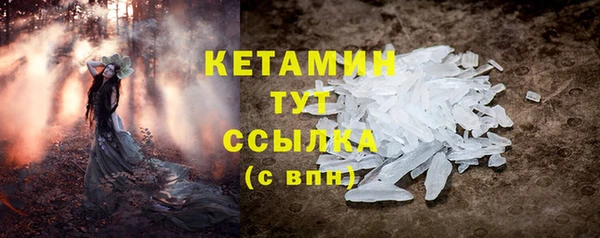 стаф Аркадак