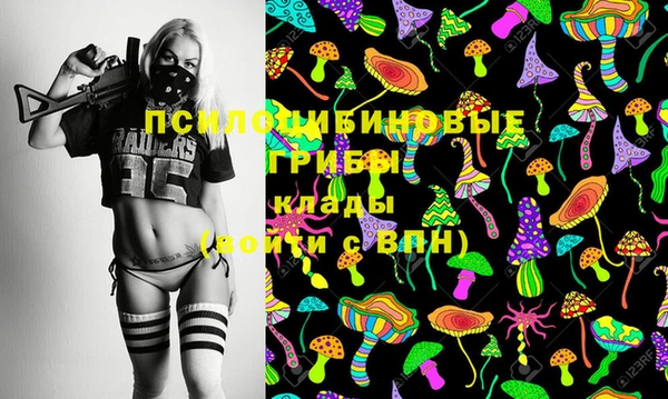 гидропоника Армянск