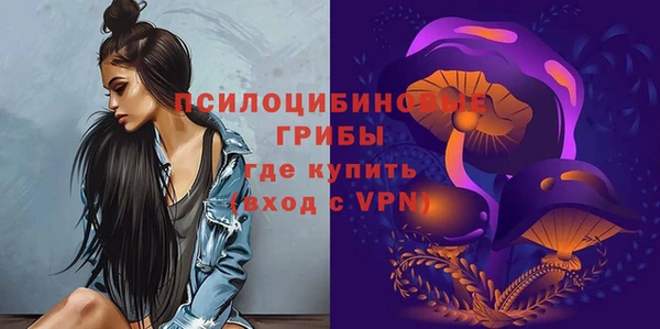 ПСИЛОЦИБИНОВЫЕ ГРИБЫ Навашино