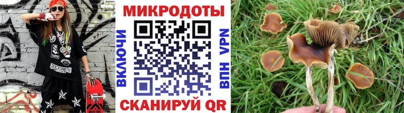 Купить  Асбест  Галлюциногенные грибы Cubensis 